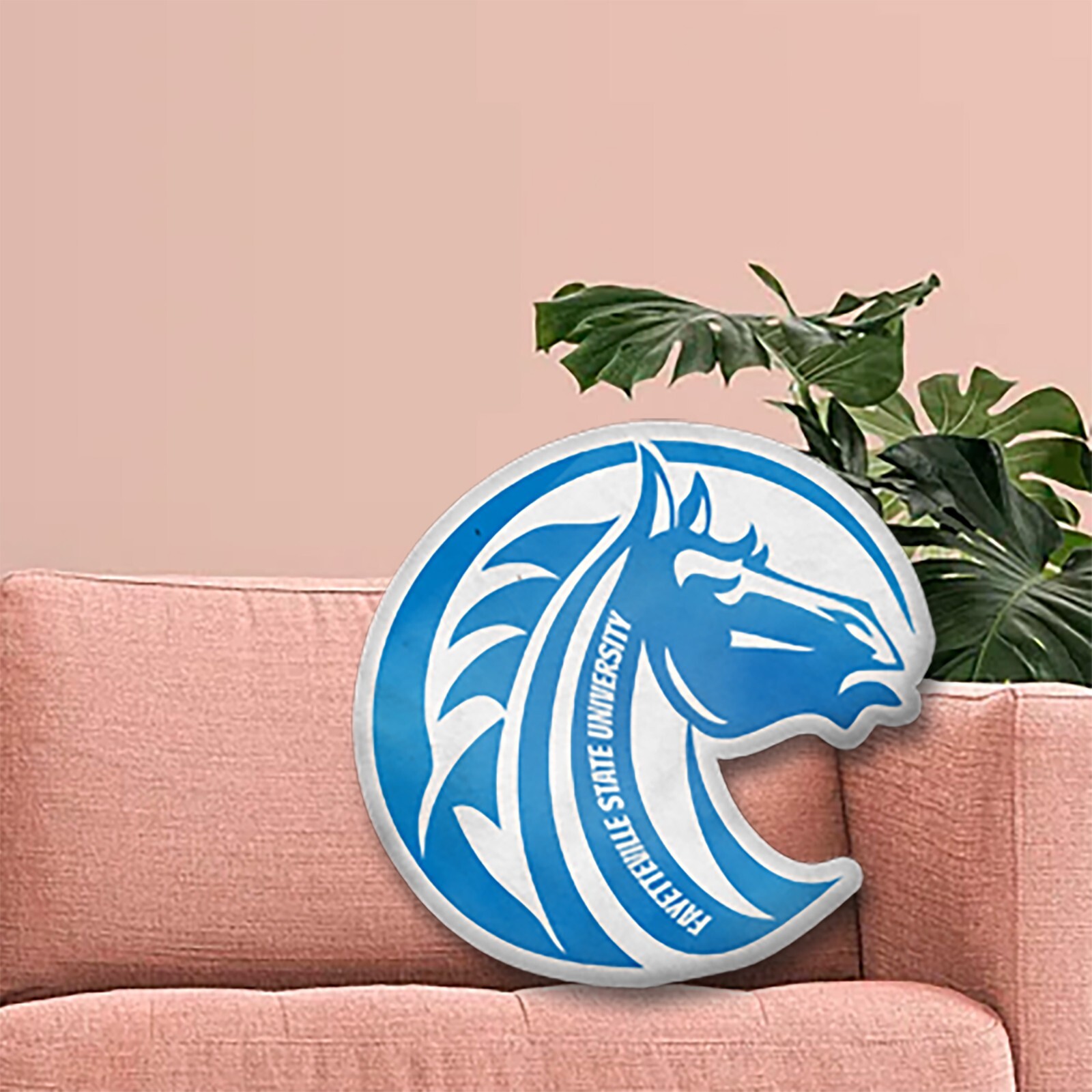 Fayetteville State Broncos Custom shape Plush Pillow Cover Falak