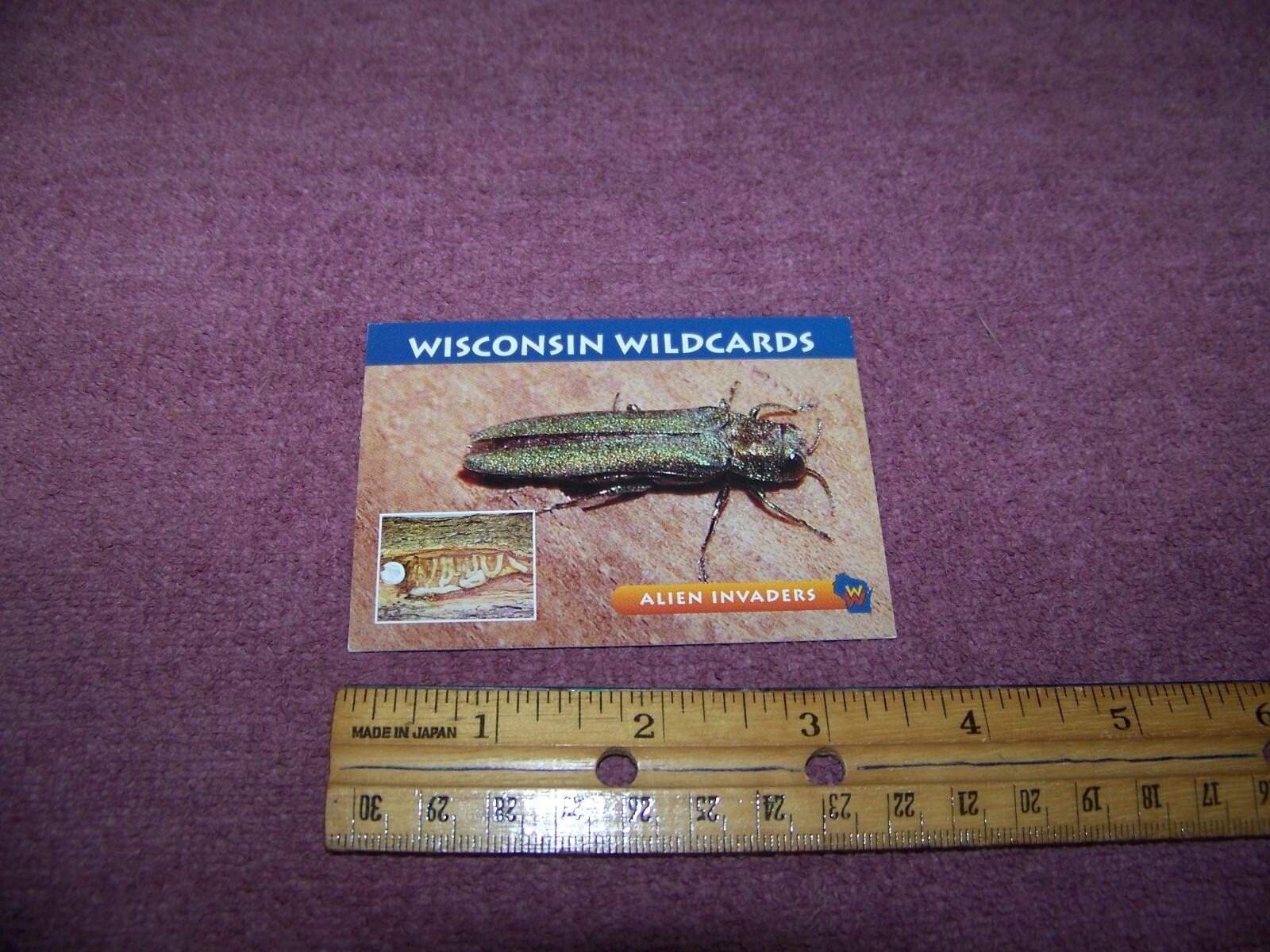 Picture 1 of 2
