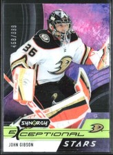 2021-22 Synergy Exceptional Stars John Gibson 458/899 #ES-JG H8R2I