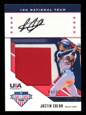 2019 Panini USA Baseball Justin Colon Silhouette Prime Patch Auto /25 U6649