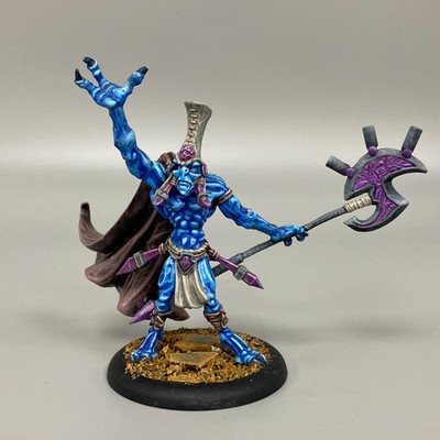 DRAGYRI SOUL WARDEN DARK AGE KELTA'RIK METAL SCI-FI WARGAMING MINIATURE PAINTED