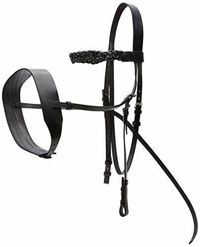 Cwell Equine English Working Hunter Show Hunt Bridle Wide 3/4" Cheeks BLACK - Picture 1 of 1