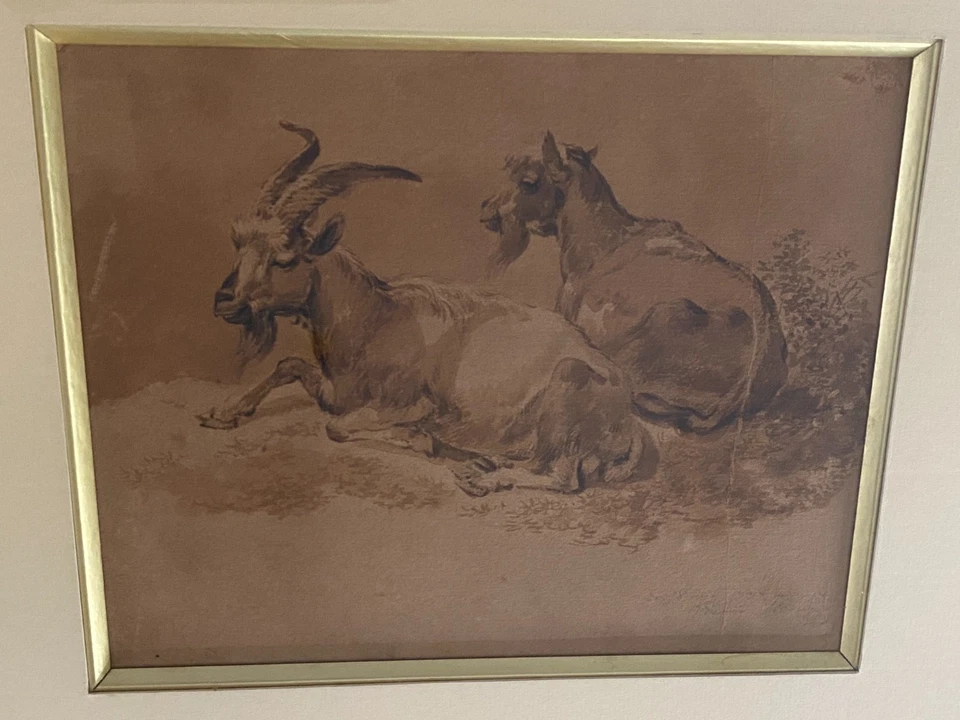 Lavis d'encre sépia sur papier / Bouc et Chèvre /Signé, daté XIXe / Bien encadré - Photo 4/4