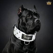 Custom Italian Leather Dome Studded Dog Collar 3" Engraved Name Plate Handmade