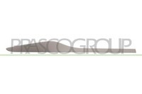 Prasco Modanatura Portiera RN3291473 FüR Renault Hintere Rechte Seite