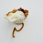 Bild 8 von 17