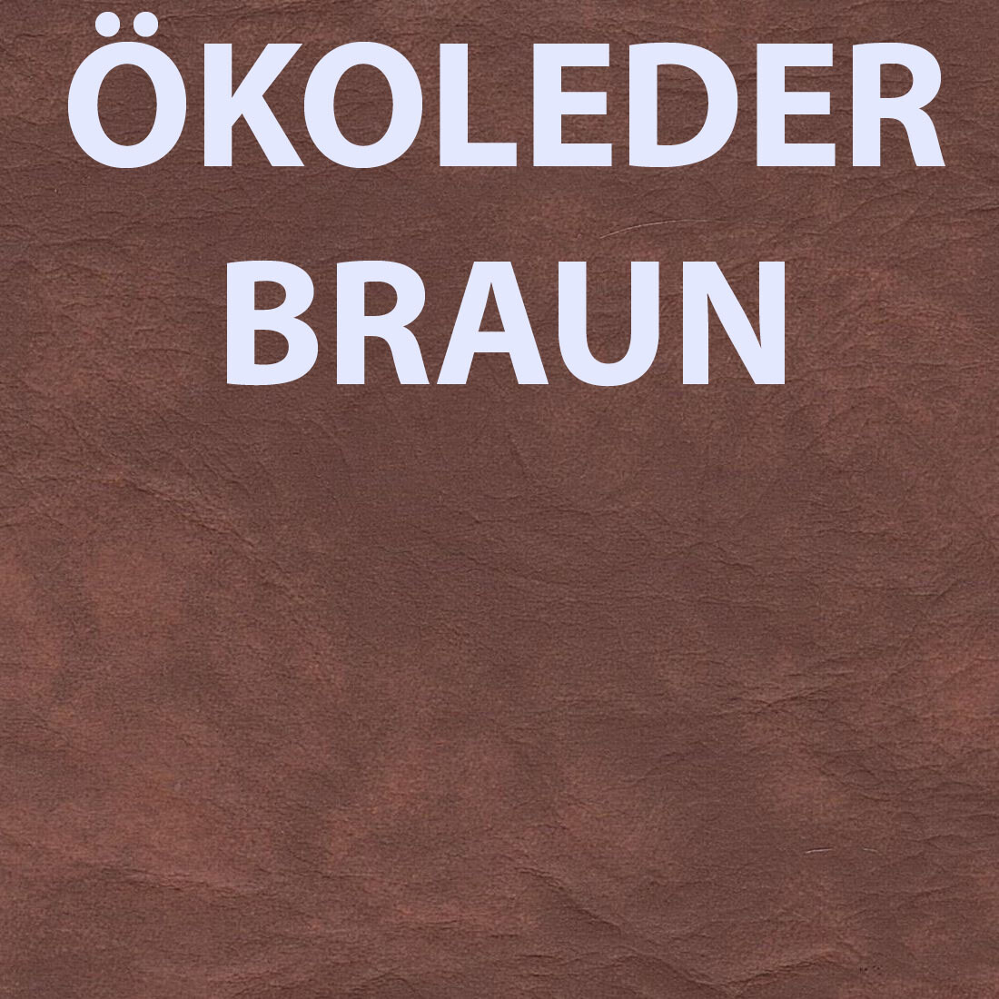 Bild 20 von 20
