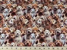 Cotton Goldendoodles Dogs Puppies Pups Cotton Fabric Print by the Yard D755.29