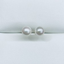 14k Yellow Gold Pearl Stud Earrings 5.5mm