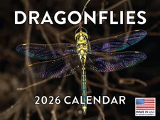 Dragonfly Insect Calendar 2026 Wall