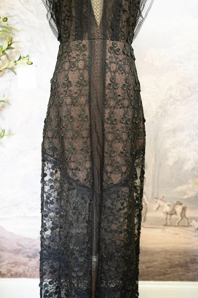 Alexis Kasia Plunge Black Lace Maxi Dress sz S Small Gown Beautiful NWOT $1200 - Image 4 of 4