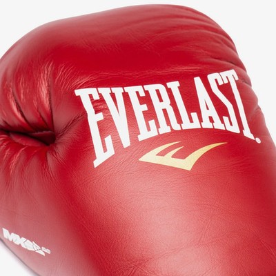 Everlast Sports MX 2.0 Boxing Gloves (8oz–16oz) – Pro Training