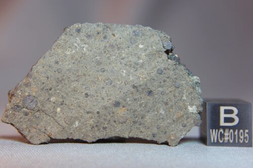 NWA 8672 CK5 Meteorite 10.5 gram Complete Slice - Picture 2 of 3