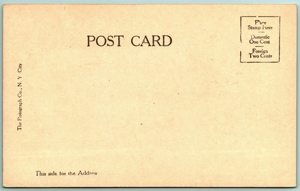 RPPC Mujer y Pájaro Rotógrafo Co Serie Nº 8 540 UNP Sin Usar Tarjeta Postal UDB G5 Foto 2 de 2