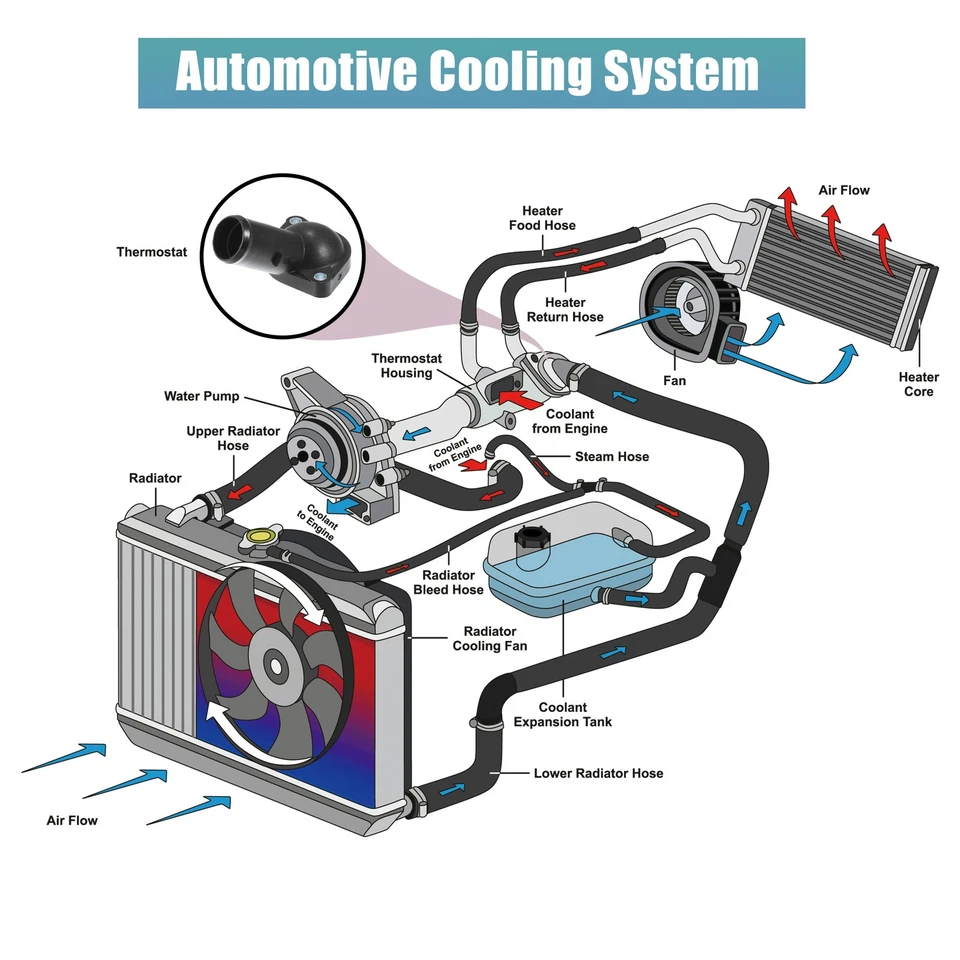 Termostato Carcasa Montaje para Toyota Corolla 2009 Plástico Negro - Imagen 2 de 4