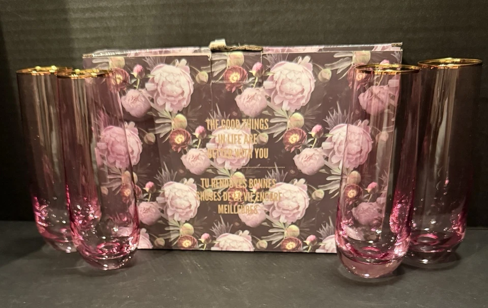 无节制香槟长笛 ~ 美丽的粉红色透明眼镜 带金边 罕见 ~ 4 件套 — 第 3/4 张图片