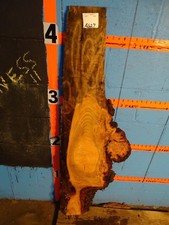 A627 1 5/16" THICK cherry burl live edge slab shelf coffee table bench