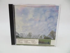 BLAKE ZWEIG - Other People Make Me Do This ( CD, 2001 ) RARE HTF Music CD