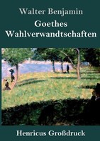 Goethes Wahlverwandtschaften (GroßDruck) | Buch | 9783847853305