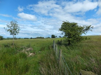 Photo A2 A slight change of direction Blaenau/SJ2455 The bridleway bear c2016