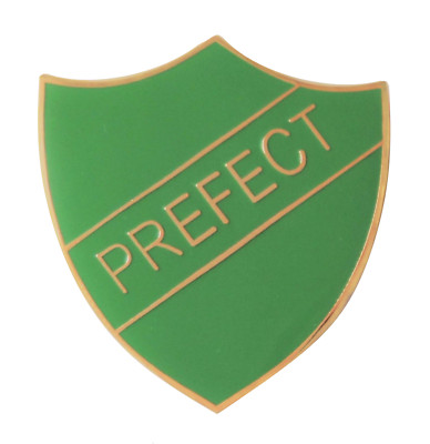 Grüner Präfekt Anstecker für Schulen vergoldet Pin Badge