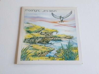 Vinyl Sammlung Hier LP Schallplatte Jimi Slevin / Freeflight (fast Neu 1982)