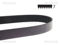 Triscan Keilrippenriemen 8640 701095 FüR Dyna Toyota Hiace Hilux 7 Pick Up 4 Bus