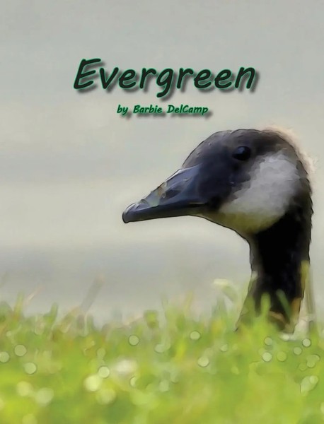 Barbie Delcamp | Evergreen | Buch | Englisch (2015) | Gebunden-image