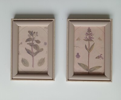 Vintage Botanische Illustration gedruckt, im Holzrahmen, 2er Set