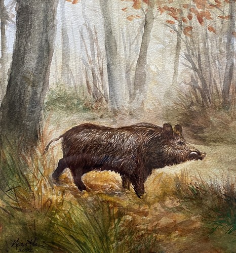 ADORABLE PINTURA ACUARELA PAISAJE BOSQUE OTOÑO JABALÍ FRANCÉS SIGLO XX - Imagen 3 de 11