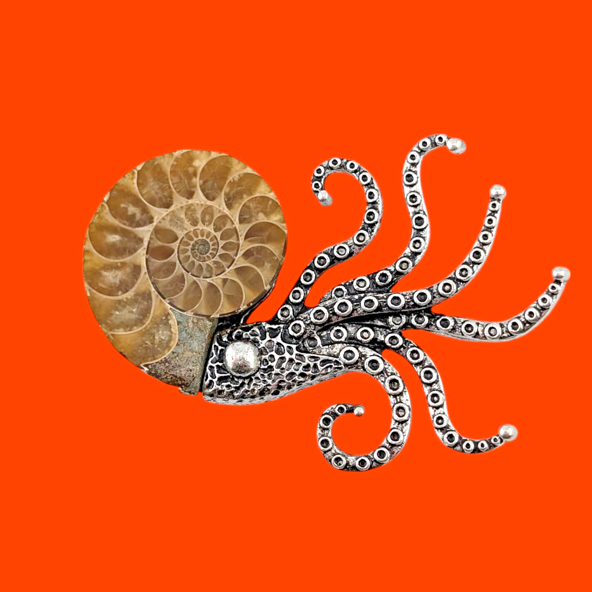 Kamonohashi様用Christenson Nautilus 7'4 FOSSIL NAUTILUS BROOCH PENDANT ammonite shell Kraken octopus