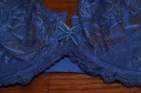 BNWT Dita Von Teese Gwendoline Underwire Bra MSRP 95!!!