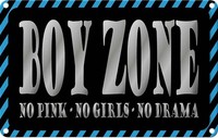 Blechschild 20X30 Cm Boy Zone No Pink Girls Drama Dekoration Deko Geschenk Metal