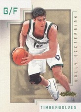 Wally Szczerbiak 2001-02 Fleer Showcase #44 Minnesota Timberwolves basketball