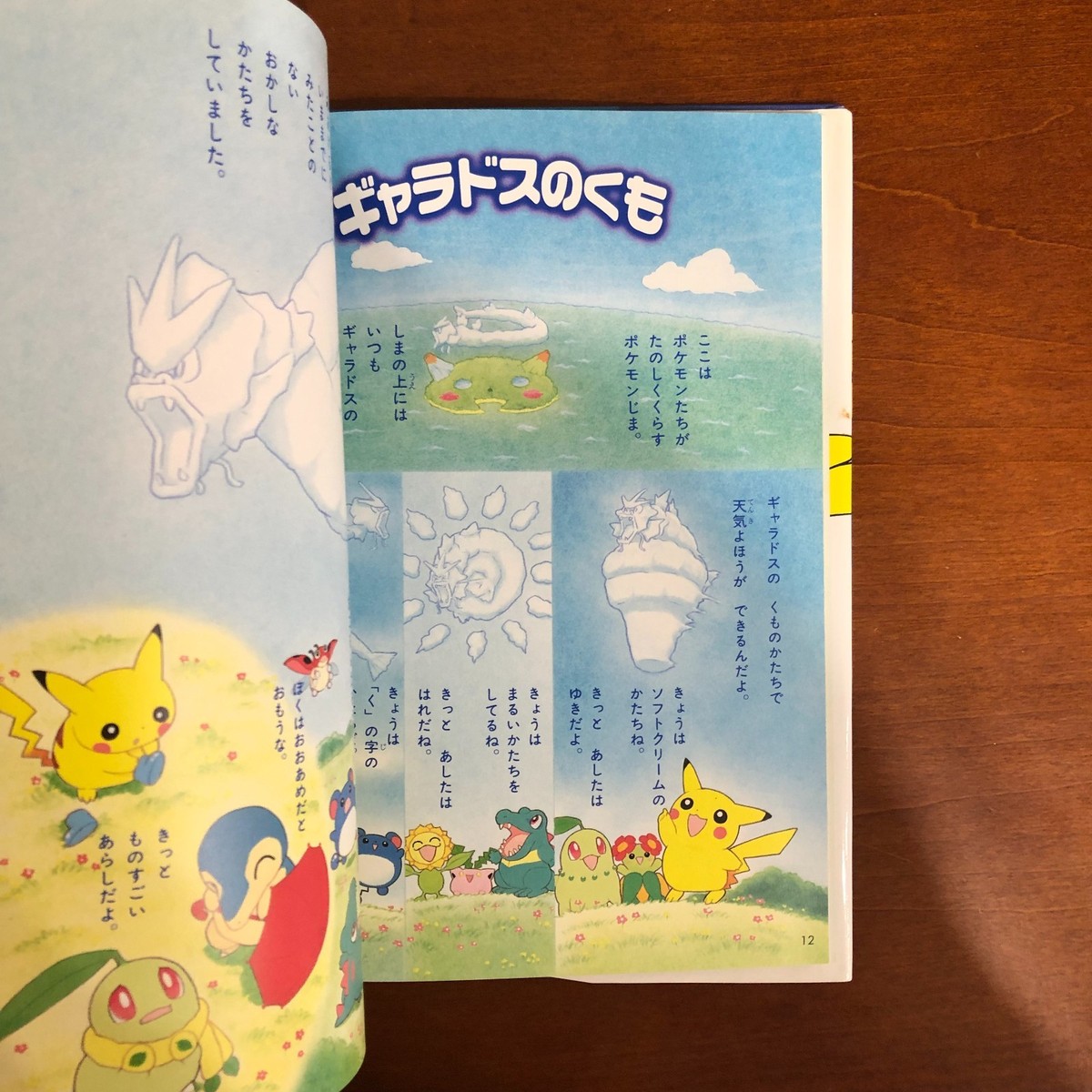 Keiko Fukuyama Pokemon Pikachu Picture Diary Art Book Illustration