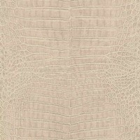 Vliestapete 751345 Tapete Tiere 53 X 1005 Cm Rasch African Queen Iii Beige
