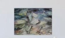 original oil paintings on canvas Horse W70xH50cm