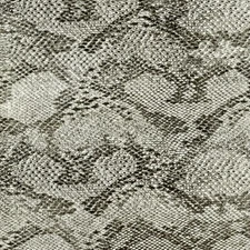 Hydrographics Dipping  Film Water Transfer Printing Small Black Snake AP-450-A