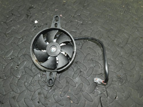 170. 2024 LEXMOTO LXS 125 MOTORRAD. KÜHLMITTELHEIZKÖRPERLÜFTER