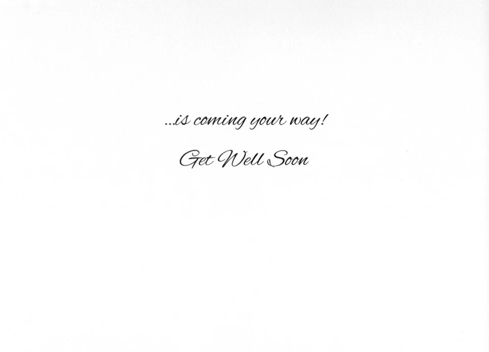 Cute GET WELL Card, Big Bunch of Wishes Bike Artist Susan Winget by Current® + ✉ - Image 2 of 4