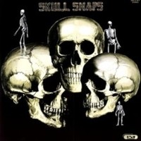Skull Snaps - Vinyl Record - K4Z