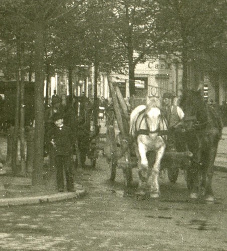 Deutschland Berlin Unter den Linden altes Stereoview Foto NPG 1900 - Bild 2 von 3