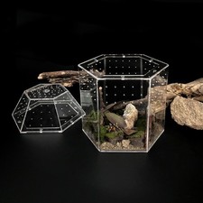 Reptile Terrarium Terrarium Habitat Jumping Spiders Enclosure Transparent