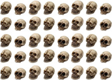 40 Halloween Mini Skull Figurines, Skeleton Head Statues, Decor for Halloween