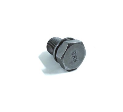 Audi/VW Oil Drain Plug w/ Gasket (N90813202)