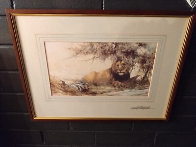 Ein schöner gerahmter David Shephard Bleistift signiert Safari Löwe Druck