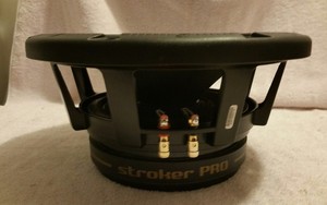 cerwin vega stroker 10