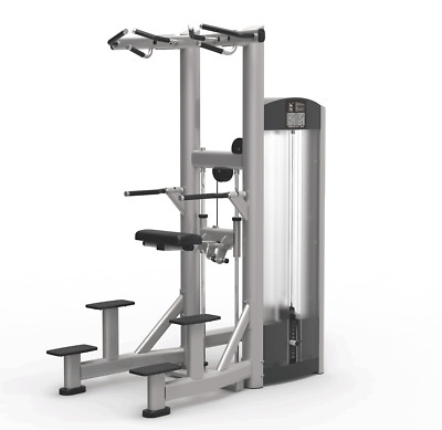 Commercial Chin Dip Assist/Life Fitness Signature BUYER PAYS SHIPPING