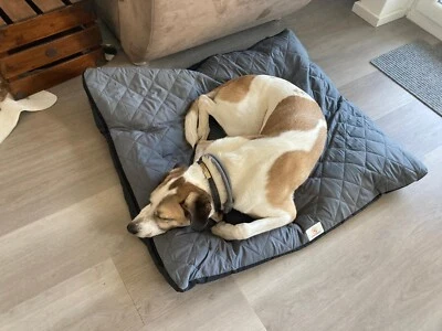 SYMPATIERISCH Hundematte Hundekissen Hundedecke 80x70x10 cm waschbarer Bezug NEU OVP