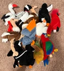 Ty Beanie Babies Lot of 12 Vintage Retired 90s Birds Tush Tags